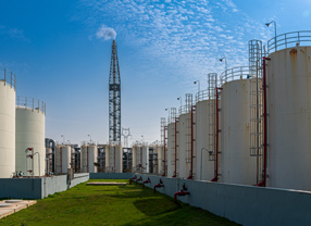 ������(btt)����-918������,���������